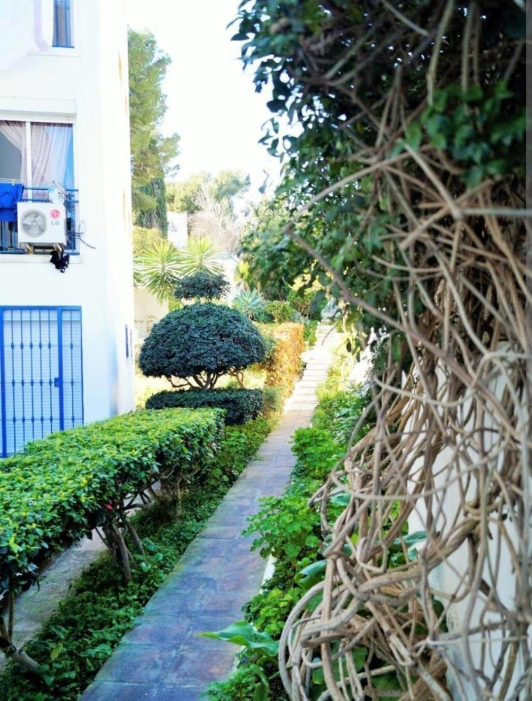 La Dorada Studio Torremolinos